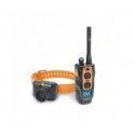 Dogtra 2600T&B + 1 collier - Ensemble de repérage & dressage pour chiens 