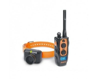 Dogtra 2600T&B + 1 collier - Ensemble de repérage & dressage pour chiens 