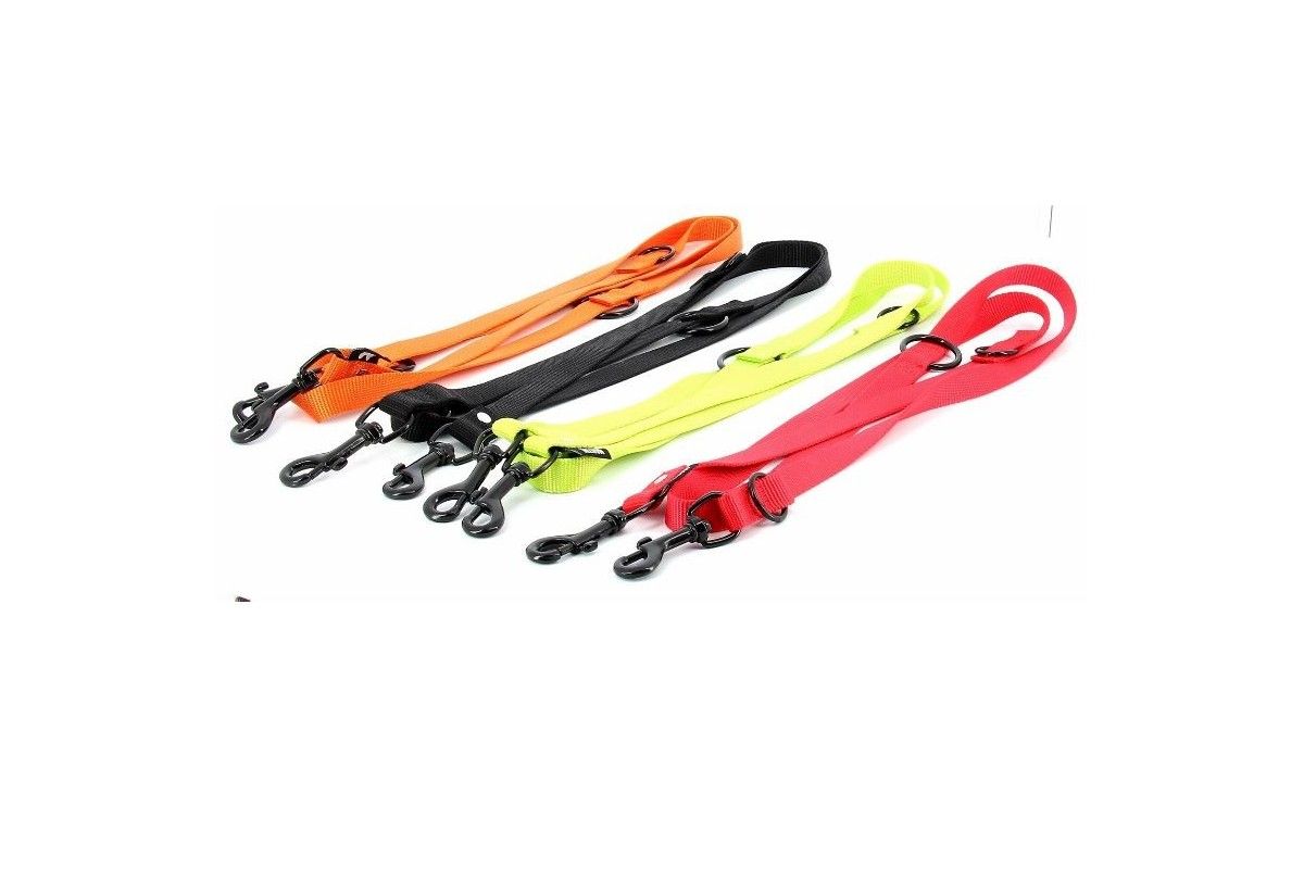 Laisse Nylon 3P 2m/20mm Martin Sellier