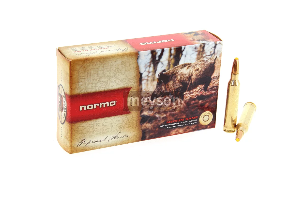 Munitions Norma Calibre 7mm Rem Mag 170 Ppdc Pte Plast 