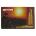 Munitions Norma Calibre 375 H-H Mag 270 Barnes Tsx 