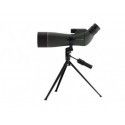Lunette d'observation Electropoint 20-60 x 65 