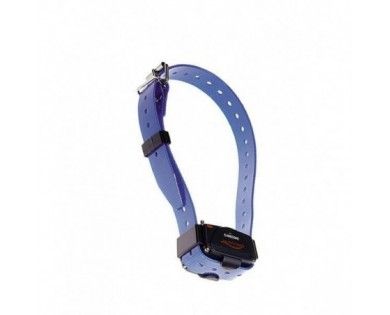 Collier Canicom Sangle Bleu 