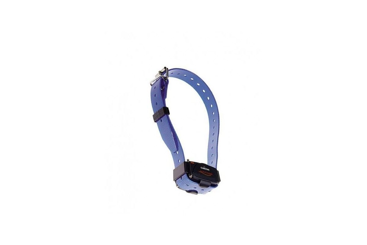 Collier Canicom Sangle Bleu Collier Canicom Sangle Bleu