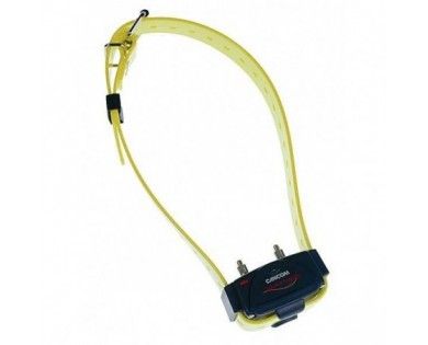 Collier Canicom Sangle Jaune 