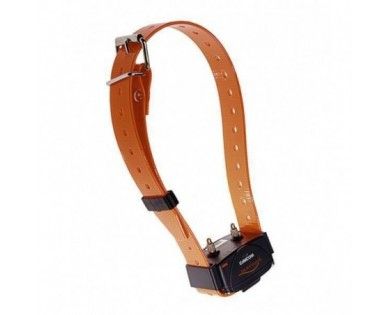 Collier suplémentaire sans télécommande canicom sangle orange - NUM'AXES 