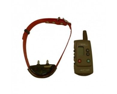 Collier CANICOM 300 Expert 