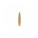 Ogives Sierra calibre 243 Matchking No.1570 HPBT 107 grs 