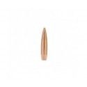 Ogives Sierra calibre 243 Matchking No.1537 HPBT 95 grs 