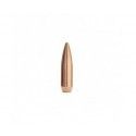 Ogives Sierra calibre 308 Matchking No.2220 HPBT 180 grs 