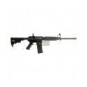 Carabine Colt AR15 EXPANSE 2000 CALIBRE 223 REM 