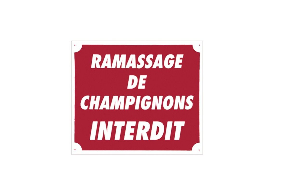 Panneau ''Ramassage de champignons interdit'' 30 x 25 cm