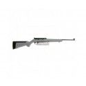 Ruger 10/22 calibre 22lr canon 47cm 