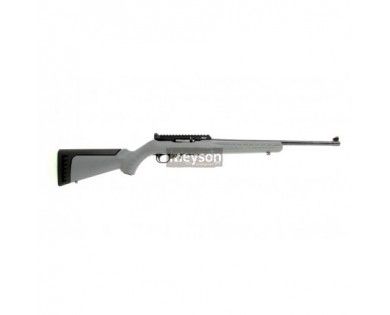 Ruger 10/22 calibre 22lr canon 47cm 