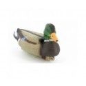 Appelant Colvert male Stepland 