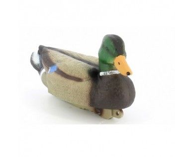 Appelant Colvert male Stepland 