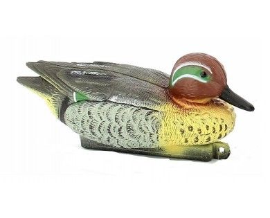 Forme appelant Sarcelle male Stepland 