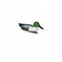 Forme Appelant Souchet male 
