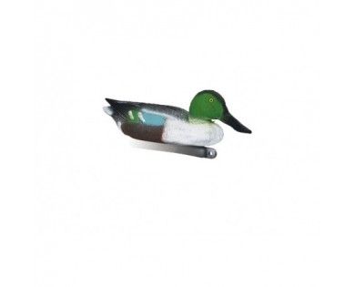 Forme Appelant Souchet male 