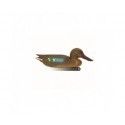 Forme appelant Souchet femelle 