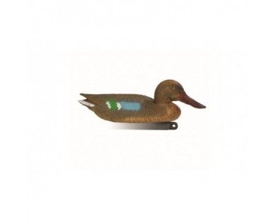 Forme appelant Souchet femelle 