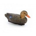 Forme appelant Colvert femelle Stepland 