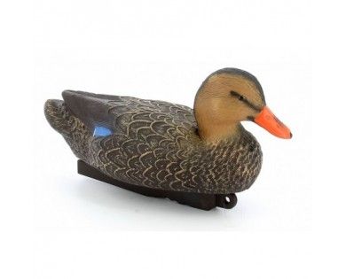 Forme appelant Colvert femelle Stepland 