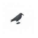 Forme Appelant Corbeau sur pied Stepland 