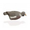 Forme Appelant Pigeon Demi coque 