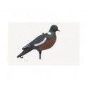 Forme appelant Pigeon RAMIER HD 