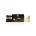 Munitions de grande chasse RWS en calibre .30-06 EVO 11,9g 