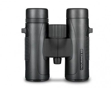 Jumelles Endurance 10×32 Hawke 