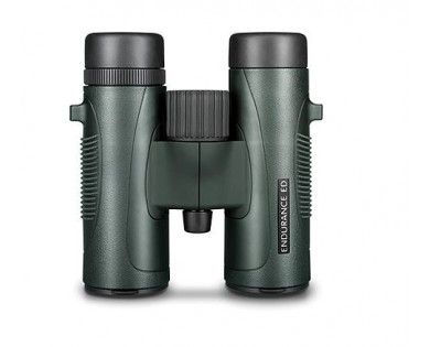 Jumelles Endurance 10×32 Hawke 