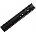 Rail Weaver 21 mm pour Carabines 