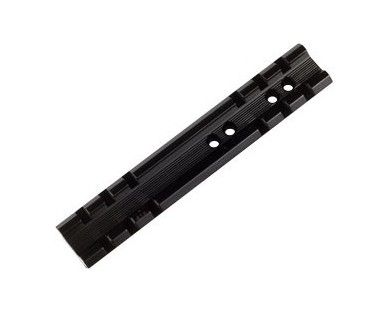 Rail Weaver 21 mm pour Carabines 