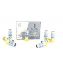 Balle B&P BIG GAME PALLA Calibre 12/70 32g 