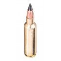 Munition Winchester Deer Season Extreme Point 6.5 Creedmoor 125gr 