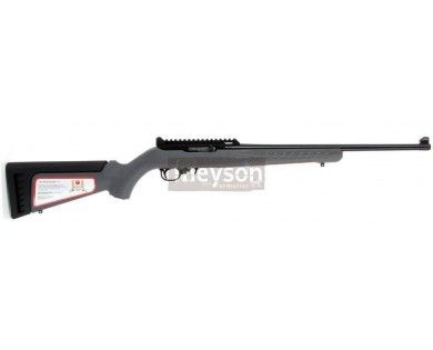Carabine Ruger 10/22 Synthétique calibre 22 