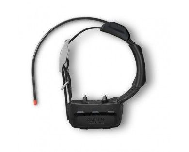 Garmin Pro 550 Plus avec collier de suivi et de dressage TT 15F Mini 