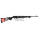 Carabine Ruger 10/22 Take Down noire calibre 22 LR 