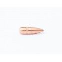 Ogives CAM PRO 223/55grs BT FMJ boite de 500 