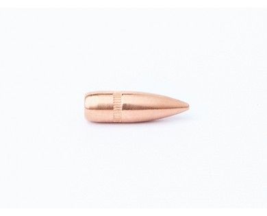 Ogives CAM PRO 223/55grs BT FMJ boite de 500 