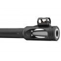 Carabine Gamo Hunter 440 AS bois calibre 4.5 mm 19,9 Joules + lunette 3-9x40 