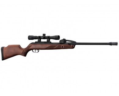 Carabine Gamo Fast Shot 10x IGT bois à répétition 10 coups calibre 4.5 mm 19,9 Joules + lunette 4x32 