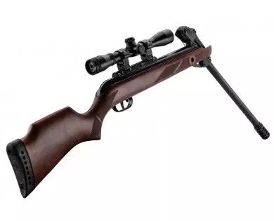 Carabine Gamo Fast Shot 10x IGT bois à répétition 10 coups calibre 4.5 mm 19,9 Joules + lunette 4x32 
