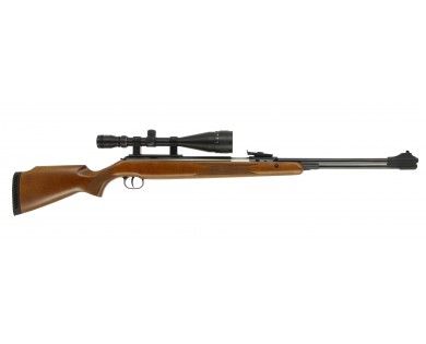 Carabine Diana 460 Magnum 4.5mm - + Lunette 6-24x50 - 27 joules 