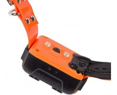 Canicom GPS : collier supplémentaire NUM'AXES 