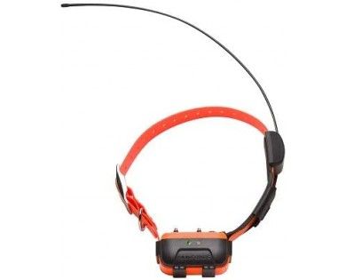 Canicom GPS : collier supplémentaire NUM'AXES 