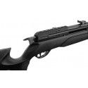 CARABINE PCP GAMO ARROW 4,5mm 19.9 joules + lunette 3-9x40WR 