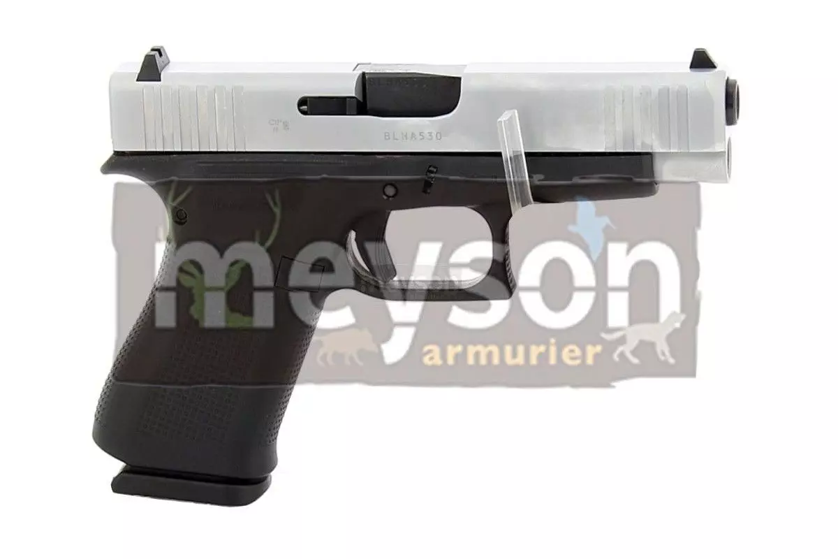 Pistolet semi-automatique Glock 48 FS Stainless calibre 9x19 